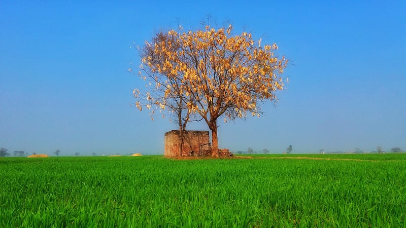 Top Villages to Visit Near Sialkot